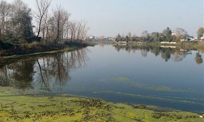 &quot;گردشگری تالابی&quot;؛ کلید درآمدزایی جوامع محلی