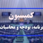 نشست کمیته اجتماعی و فرهنگی کمیسیون بودجه با مسئولان دولتی